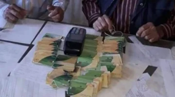 الشروط الجديدة.. تعرف على فئات المواليد المستحقة للإضافة على بطاقة التموين في 2025